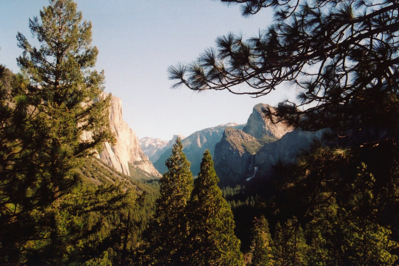 A M and Kids Yosemite 5